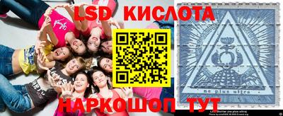 мяу мяу мука Новодвинск